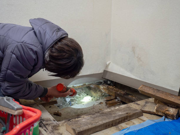 Best Real Estate Mold Inspection  in Breezy Point, MN