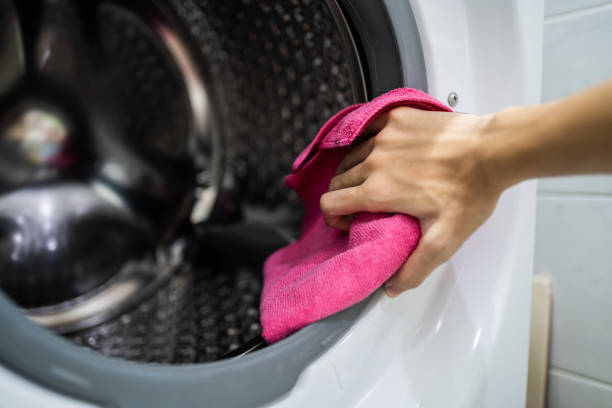 Best Mold Prevention Services  in Breezy Point, MN