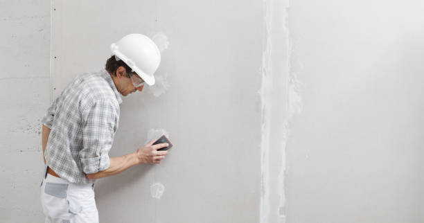 Best Airborne Mold Testing  in Breezy Point, MN