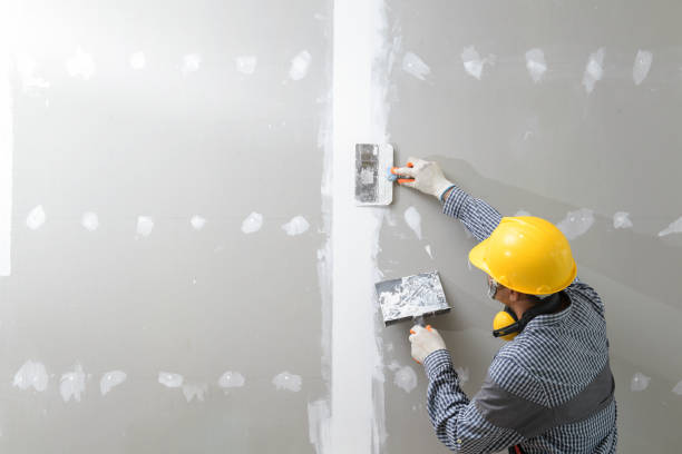 Best HVAC Mold Inspection and Cleaning  in Breezy Point, MN