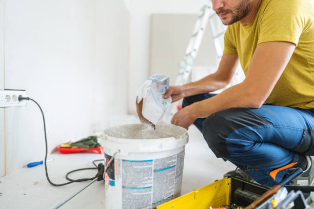 Best Mold Damage Restoration  in Breezy Point, MN