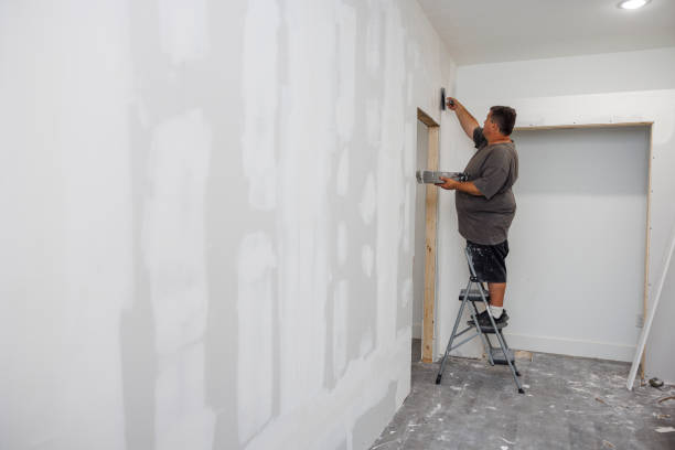 Best Basement Mold Removal  in Breezy Point, MN