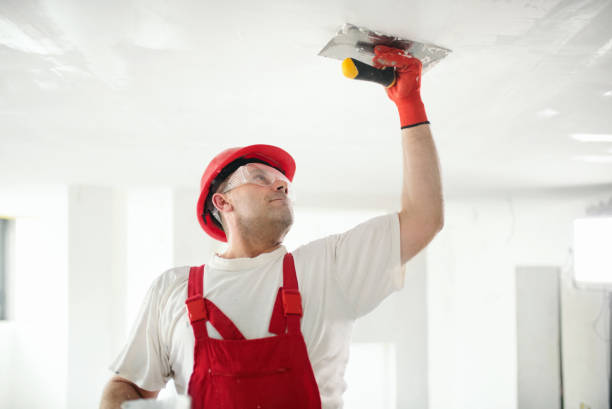 Mold Removal for HVAC Installations in Breezy Point, MN