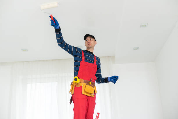  Breezy Point, MN Mold Removal Pros