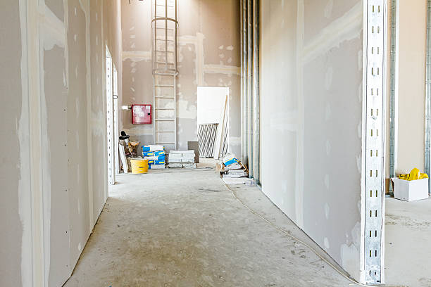 Biohazard Mold Removal in Breezy Point, MN