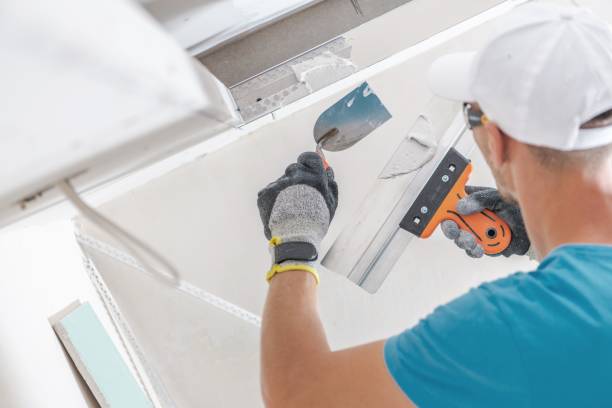 Breezy Point, MN Mold Removal Company